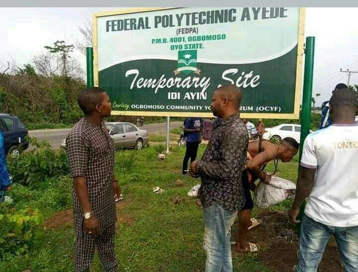 Newly Established Federal Polytechnic Ayede begins Administrative  Activities – 9jaPolyTv