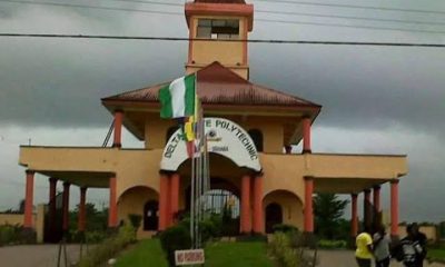 Lists of The Courses Offered at Delta State Polytechnic Otefe Oghara (DESPO) and Their School Fees