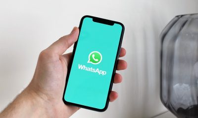 How to Unban Your WhatsApp Number Permanently | WhatsApp Unbanned APK
