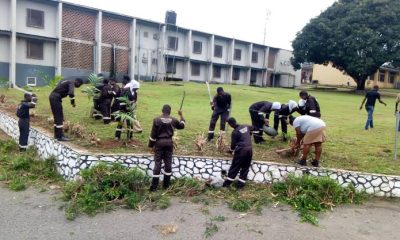 Courses Offered at Oyo State College of Health Sciences and Technology, Eleyele, Ibadan (OYSCHST) and Their School Fees