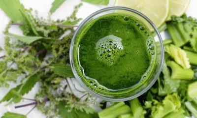 How to Boost Your Immune System Naturally: 16 Foods and Fruits That Will Boost Your Body Immunity