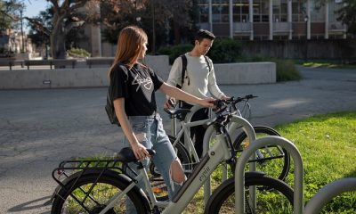 How to Manage Relationship and Studies Together in 10 Easy Steps
