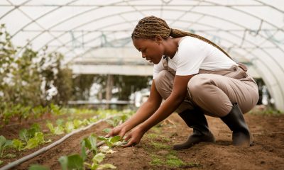 Is Agriculture the Best Course? 14 Reasons Why You Should Not Laugh at Agriculture Courses