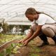 Is Agriculture the Best Course? 14 Reasons Why You Should Not Laugh at Agriculture Courses