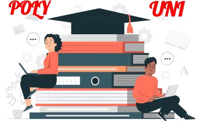 Poly or Uni: Which one is Better? Advantages of Choosing a Polytechnic Over a University
