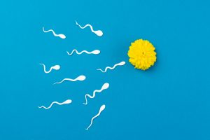 12 Ways Ladies Flush Out Sperm from Their Body to Avoid Getting Pregnant