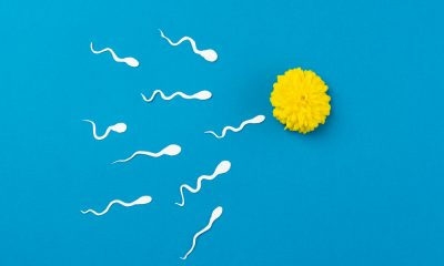 12 Ways Ladies Flush Out Sperm from Their Body to Avoid Getting Pregnant