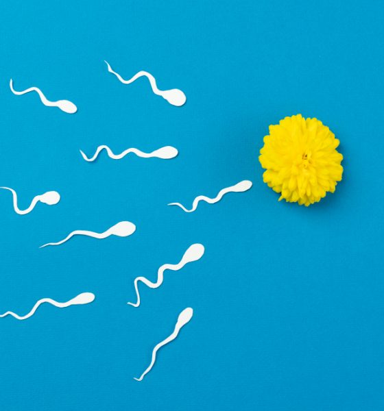 12 Ways Ladies Flush Out Sperm from Their Body to Avoid Getting Pregnant