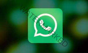 How to Fix Cannot Currently Use WhatsApp Because it is Violating Our Commerce Policy