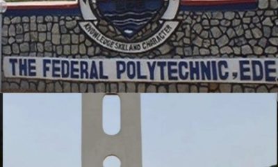 Which one is Better Between Federal Polytechnic Ede and Osun Poly Iree? OSPOLY vs. EDEPOLY Review 
