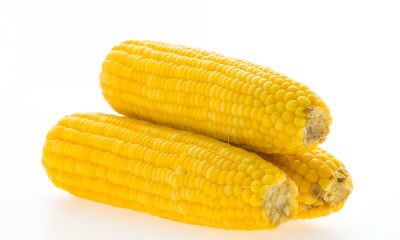 10 Nutritious health benefits of Adding Corn to your Diet 