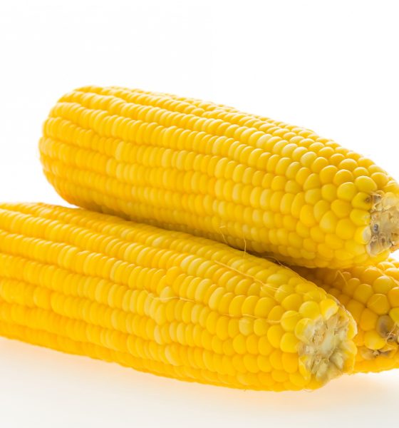 10 Nutritious health benefits of Adding Corn to your Diet 