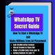 How to Start a Successful WhatsApp TV and Make Money Daily by Posting on Your Status