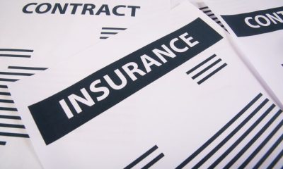 Term Insurance vs. Whole Insurance Policies in Nigeria: Which is Better?