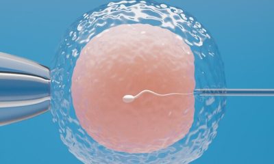 What to Know About Sperm Donor Compensation in Nigeria"
