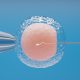 What to Know About Sperm Donor Compensation in Nigeria"