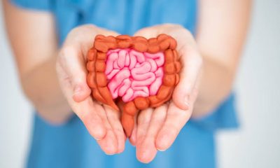 Natural Supplements to Improve Gut Health