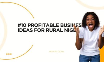 Rural Business Ideas for Nigerian Villages
