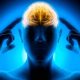 Foods That Boost Brain Power and Concentration