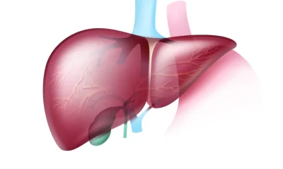 Best Liver Detox Drinks Backed by Experts