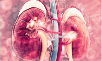 Signs of Kidney Damage You Shouldn't Ignore