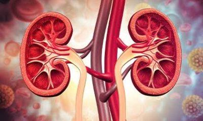 How to Protect Your Kidneys from Diabetes