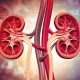 How to Protect Your Kidneys from Diabetes