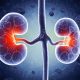 Best Diet for People with Chronic Kidney Disease