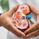 Lifestyle Changes to Slow Kidney Disease Progression