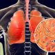 Natural Ways to Clear Mucus from Lungs: Remedies That Actually Work