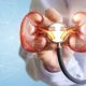 Low-Potassium Meals for Kidney Patients