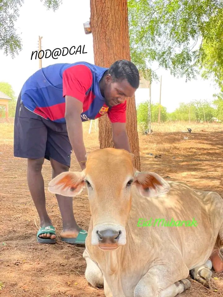 Eid Joy on Campus: WUFPBK Rector Donates Cow, Buses for Students’ Celebration