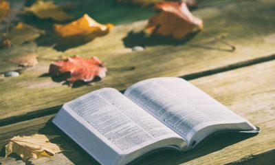 Bible Verses About Love and Patience in Relationships: Scriptures That Hold You Together When Emotions Can’t
