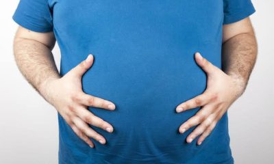 Daily Meal Plan for Men to Lose Belly Fat