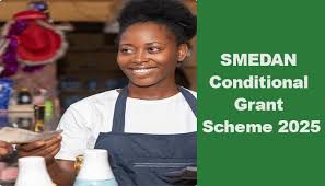 Apply Now: SMEDAN ₦50,000 Conditional Grant Scheme for Micro Enterprises 2025