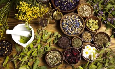 Superfoods for Better Sexual Performance