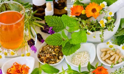 Herbal Foods for Erectile Dysfunction Cure