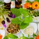 Herbal Foods for Erectile Dysfunction Cure