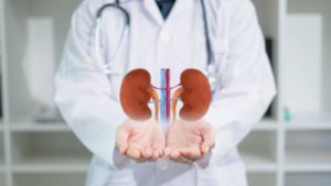 Kidney Damage: How Diabetes, Hypertension, and Other Health Conditions Harm Your Kidneys