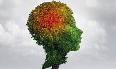 Best Natural Supplements for Anxiety That Work Fast