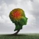Best Natural Supplements for Anxiety That Work Fast