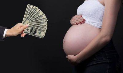 Surrogacy vs IVF: Which Fertility Option Is Right for You?