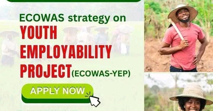 Applications Open: ECOWAS-YEP Youth Training Program 2025 for Nigerian Youths Interested in Agriculture