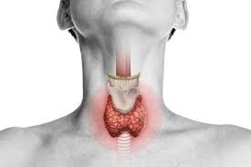 Early Signs of Thyroid Problems You Shouldn’t Ignore