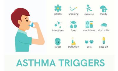 Common Asthma Triggers and How to Avoid Them