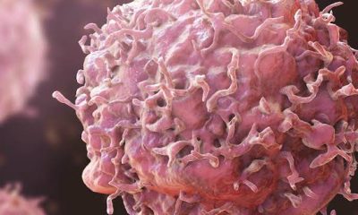 Best cancer-fighting foods backed by science