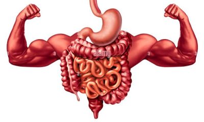 Nigerian Foods That Improve Digestion and Gut Health