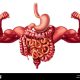 Nigerian Foods That Improve Digestion and Gut Health