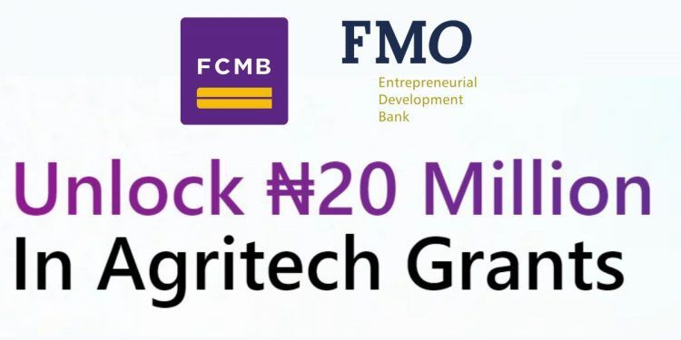 Call for Applications: FCMB-FMO AgriTech Investment Readiness Program 2025