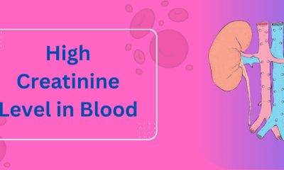 KIDNEY HEALTH: How to Manage High Creatinine Levels Naturally
